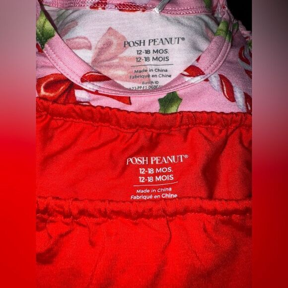 Posh Peanut NWT Helen Flutter Dress & Bloomers Set Size 18-24 Months - Picture 7 of 8